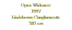 Textfeld: Open Wideness
1997
Lindabrunn Conglomerate
282 cm
 
 
