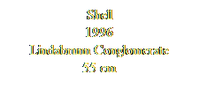 Textfeld: Shell
1996
Lindabrunn Conglomerate
55 cm
 
 
